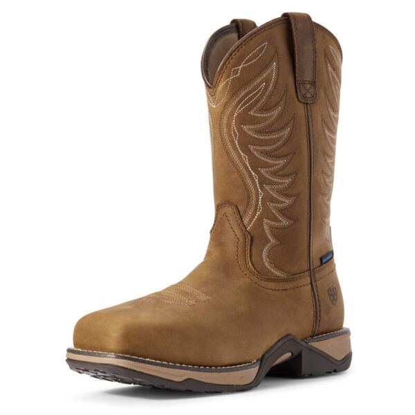 Ariat Anthem 10031664